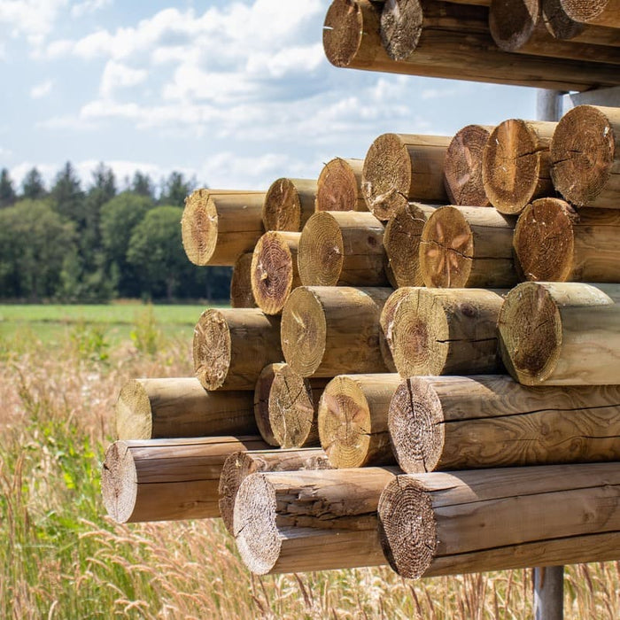 Houten palen