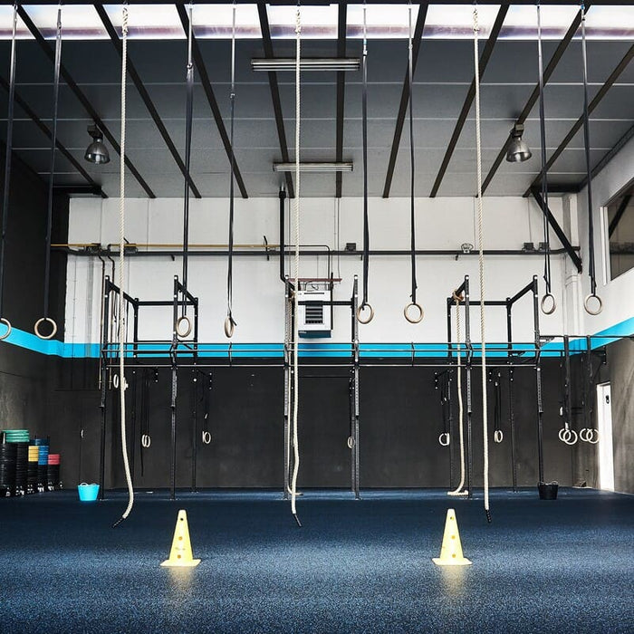 climbing ropes hanging in an indoor gym